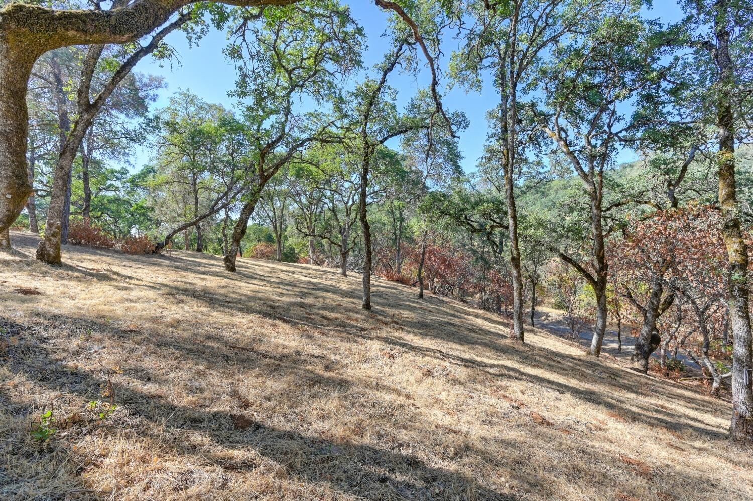Property Photo:  4165 Raphael Drive  CA 95762 