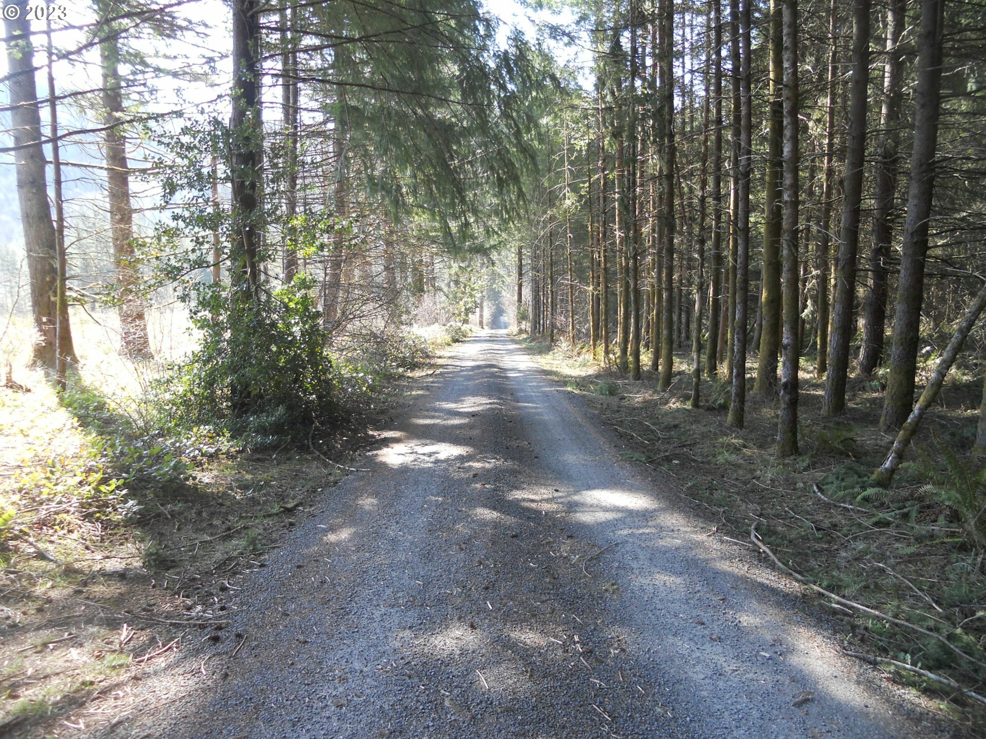 Property Photo:  NE Basket Flat Rd  WA 98604 