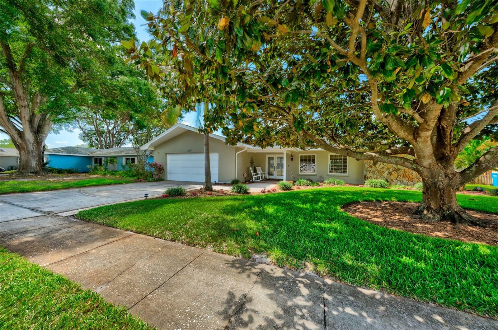 Property Photo:  2617 Pinewood Drive  FL 34698 