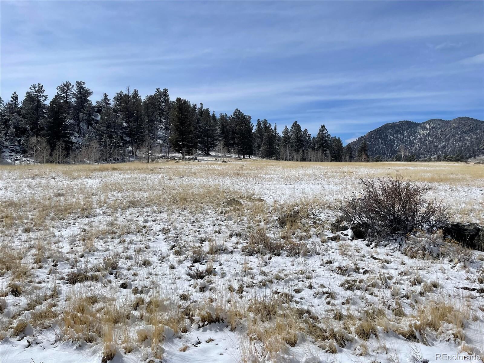 Property Photo:  227 Teller Street  CO 80449 