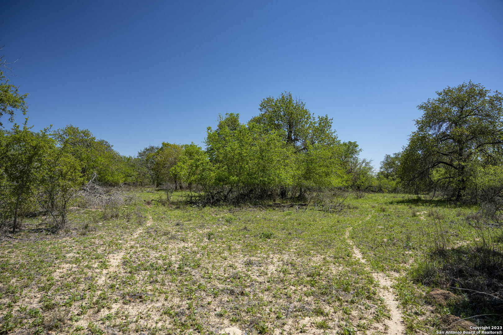 Property Photo:  2707 County Road 770  TX 78059 
