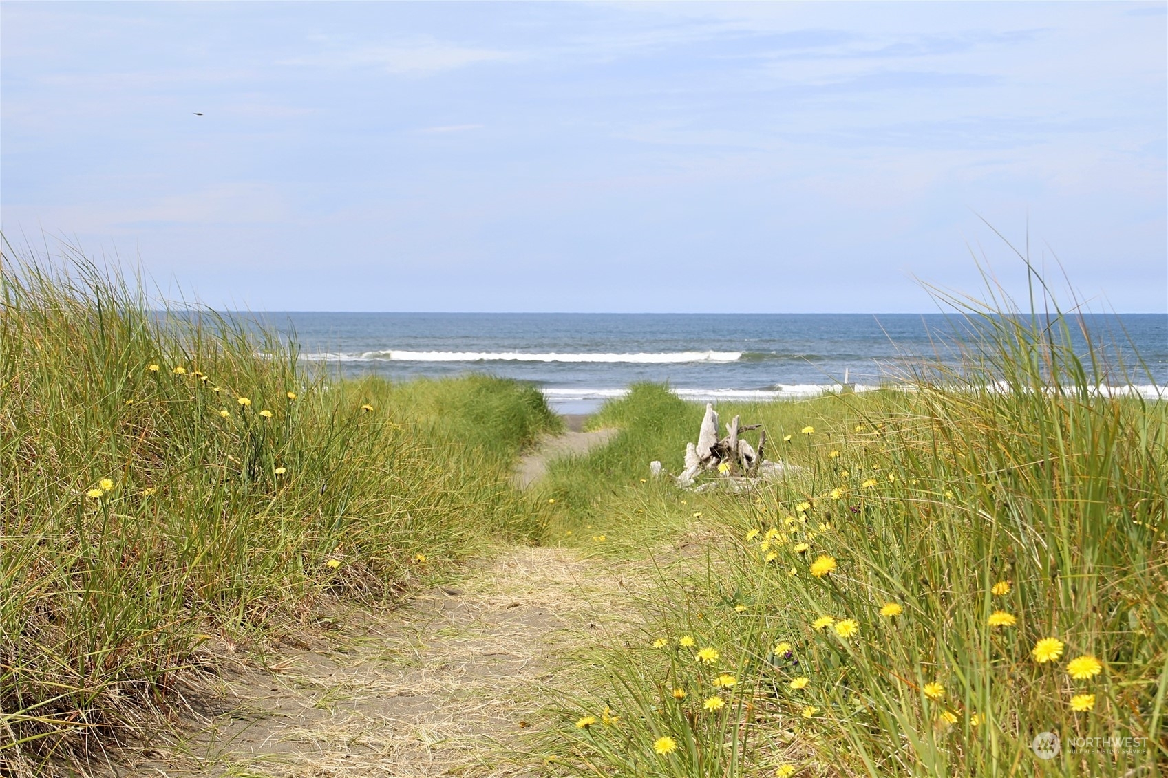 Property Photo:  979 S Sand Dune Avenue SW  WA 98569 