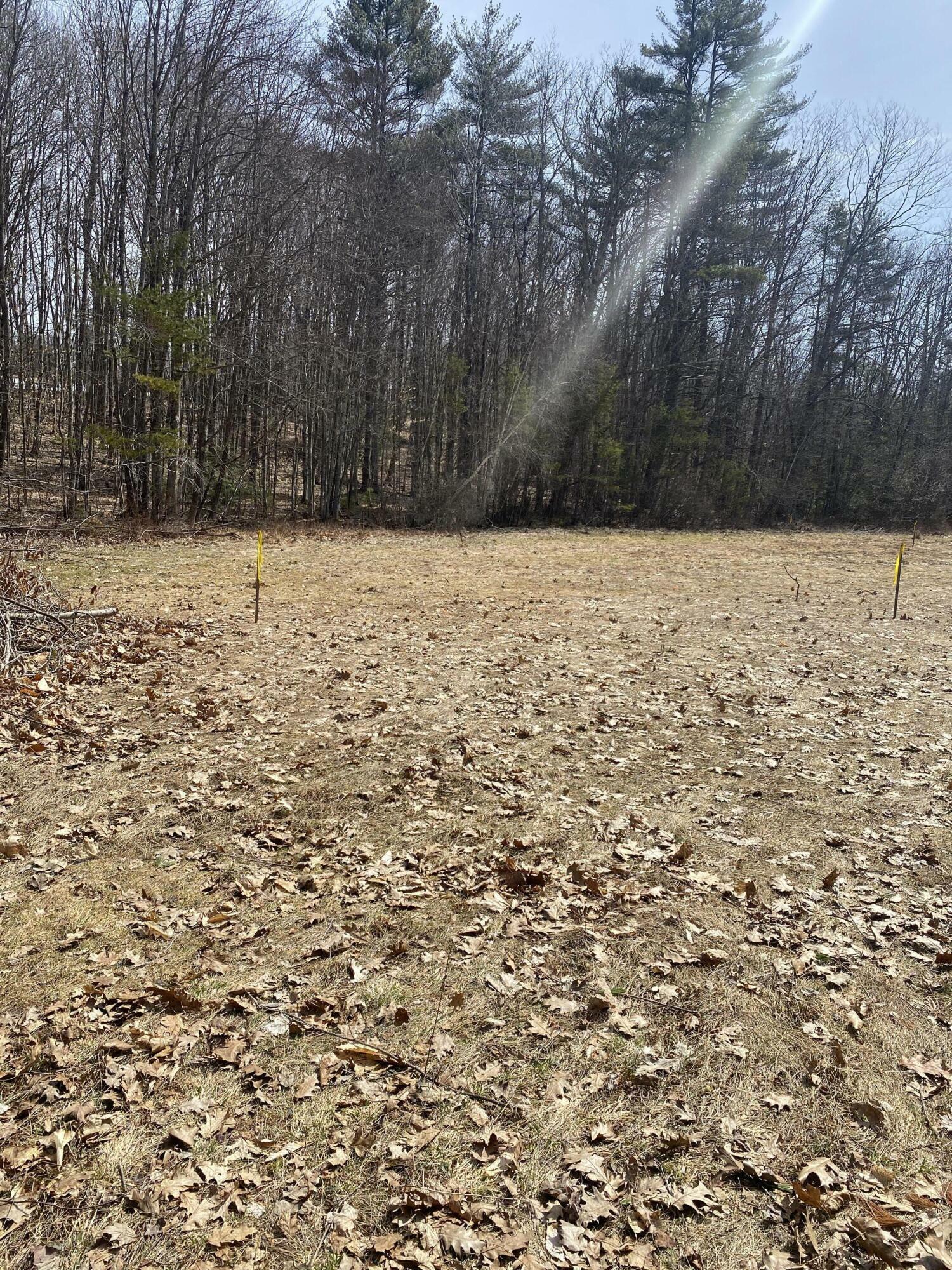 Property Photo:  Tbd Jim Grant Road  ME 04027 
