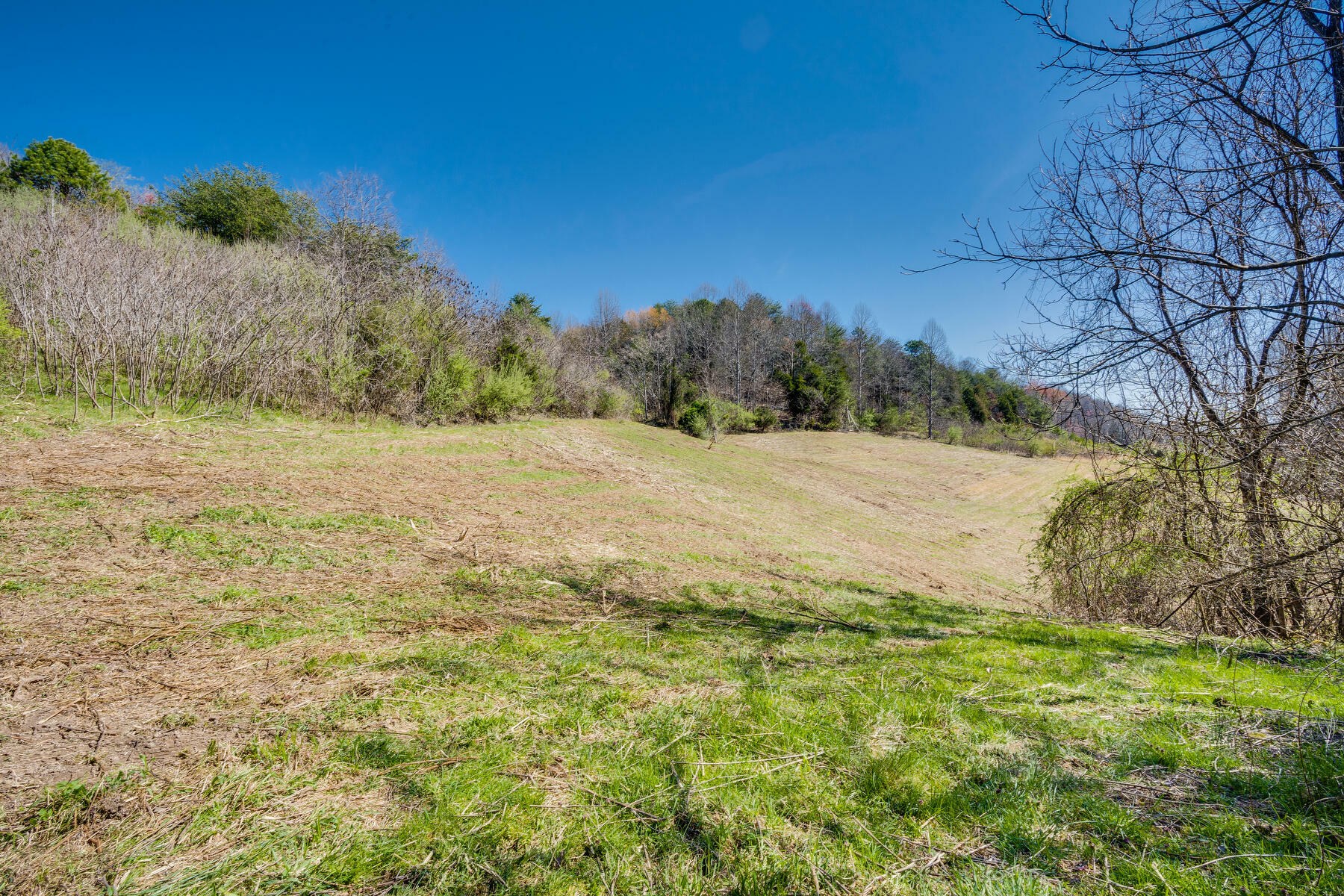 0000 Ivy Valley Road  Gate City VA 24251 photo