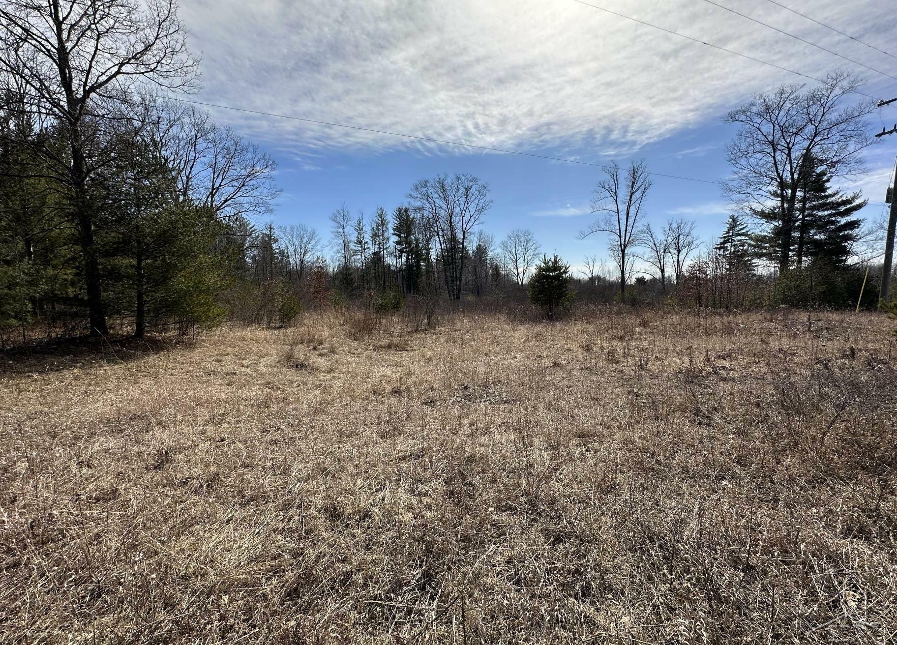 Property Photo:  00 Maple Ridge Rd.  MI 48659 