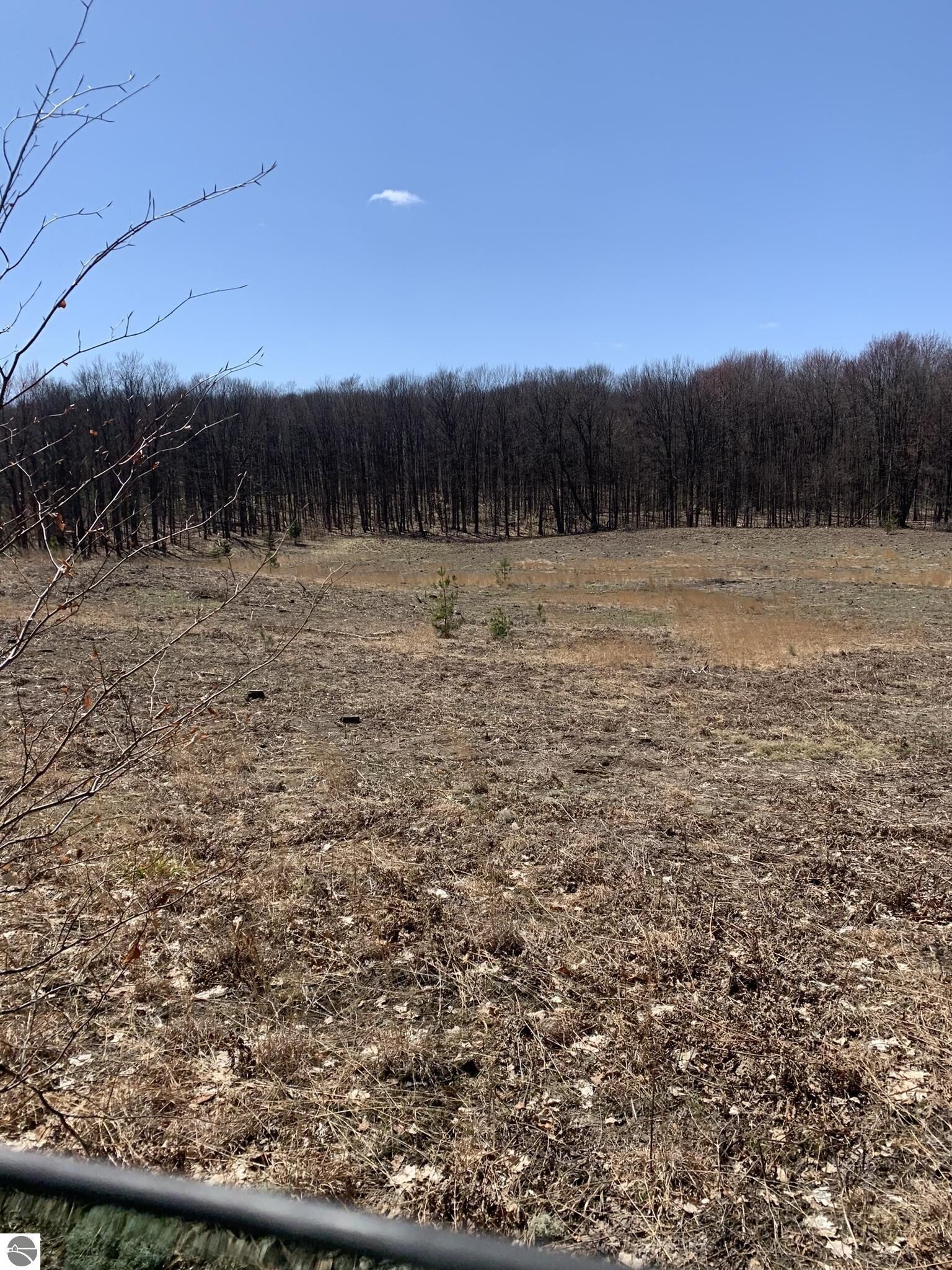 Property Photo: 0 E 16 1/2 Road MI 49668