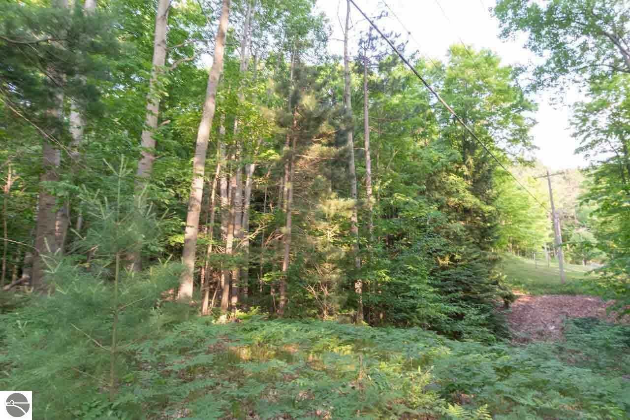 Property Photo:  0000 S Lime Lake Road  MI 49621 