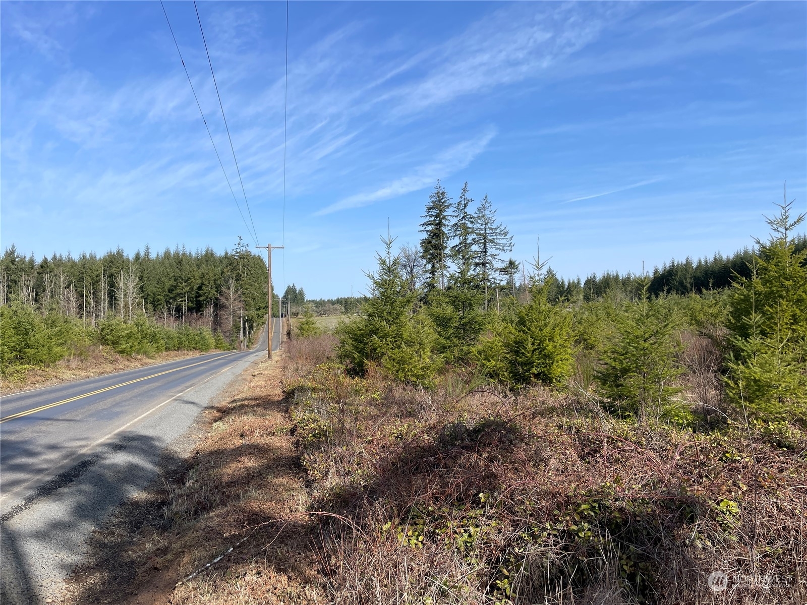 Property Photo: 0 Nikula Road WA 98596