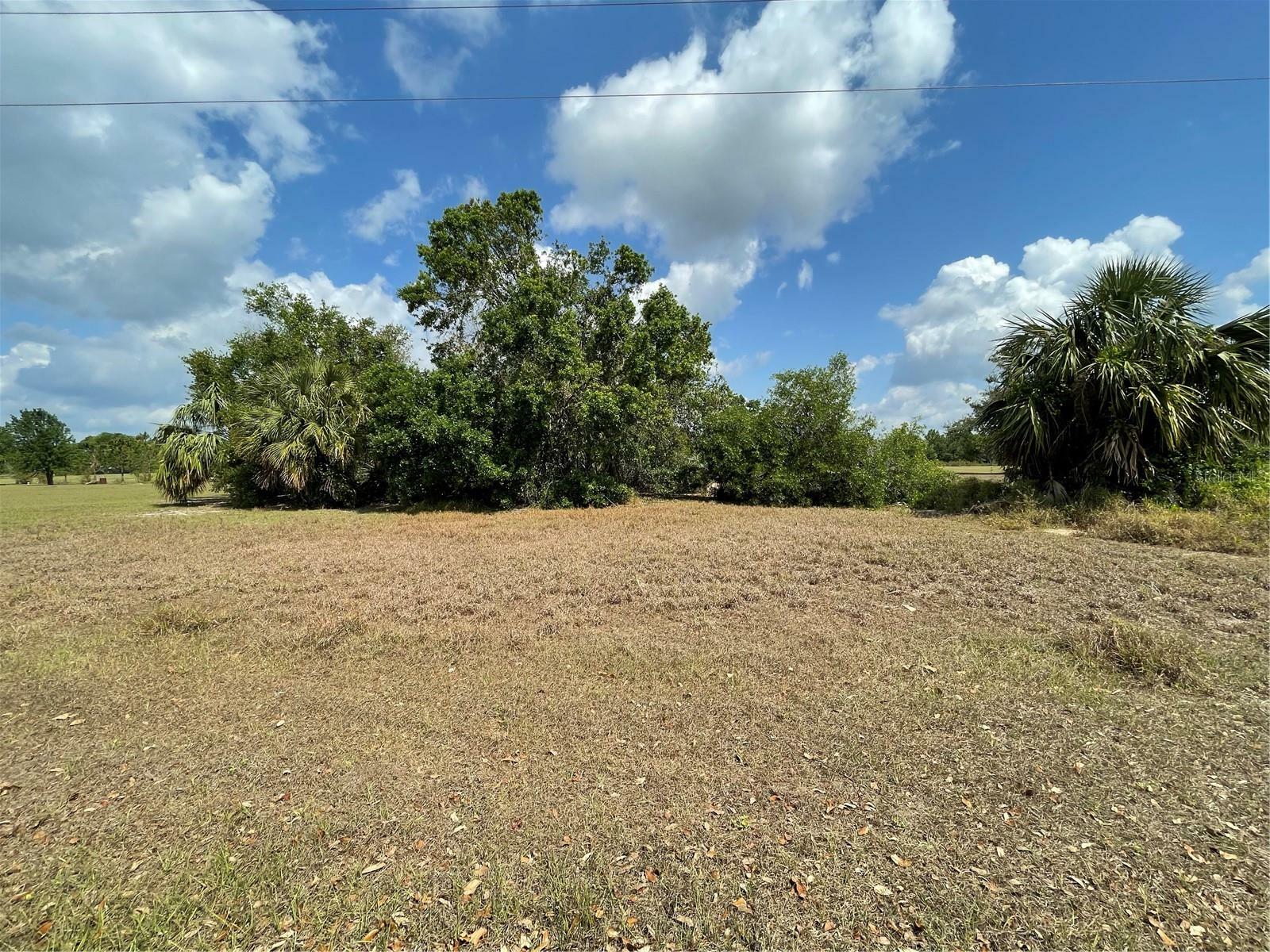 Property Photo:  7994 SW Sunny Oaks Drive  FL 34269 