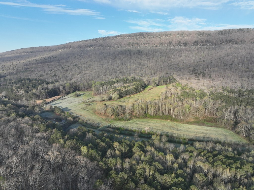 Property Photo:  0 Shinbone Valley Road  GA 30728 