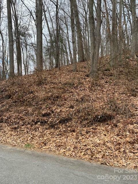 Property Photo: Lot Liberty Road 21 NC 28785