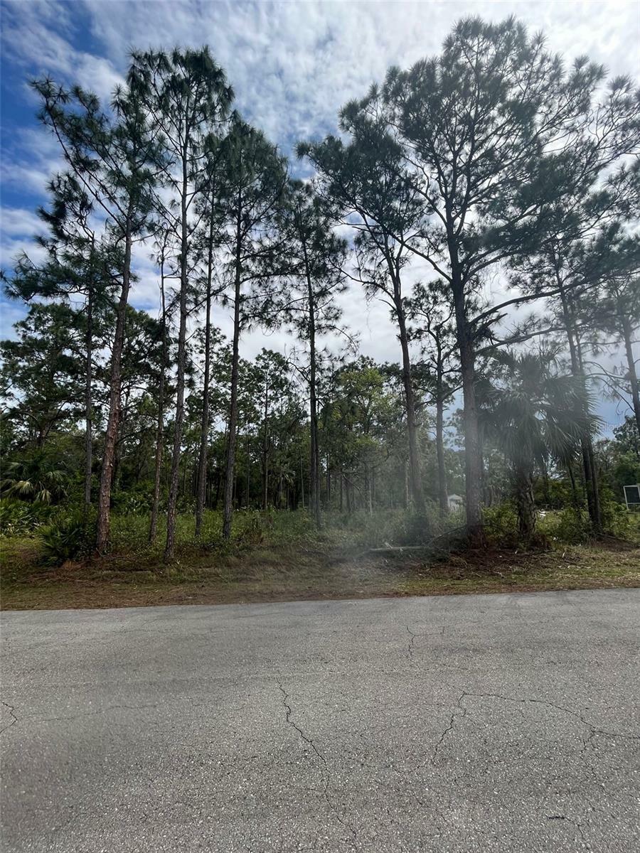 Property Photo: 2106 Moore Avenue FL 33920