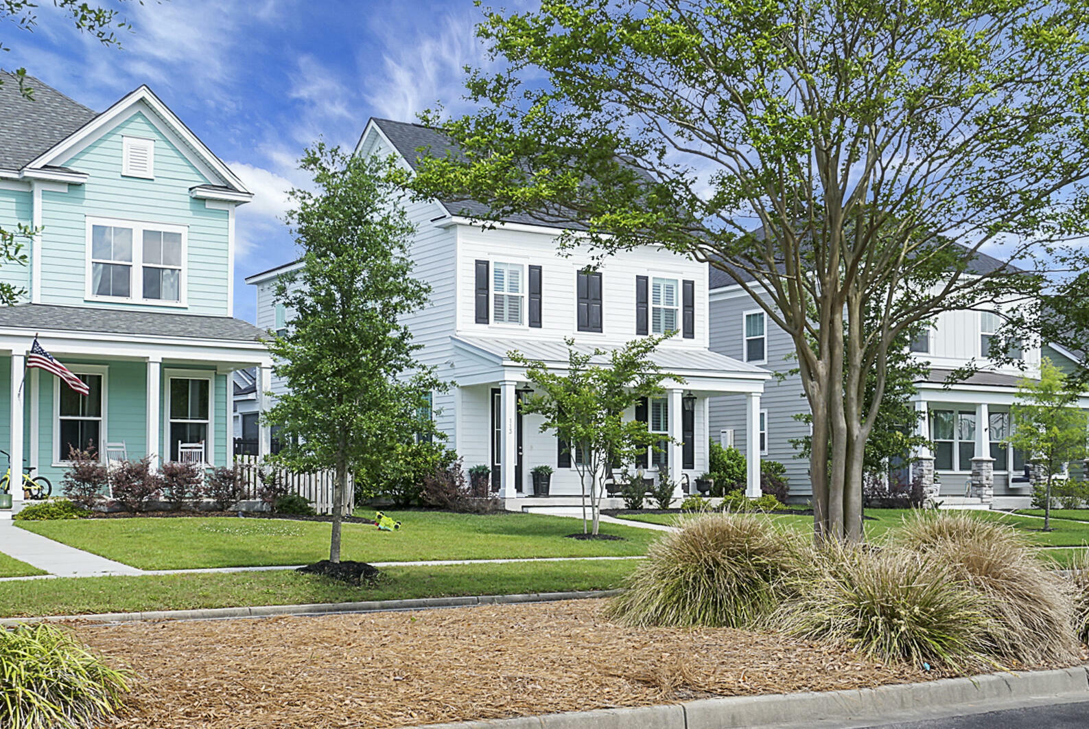 Property Photo: 113 Parish Farms Drive 29486