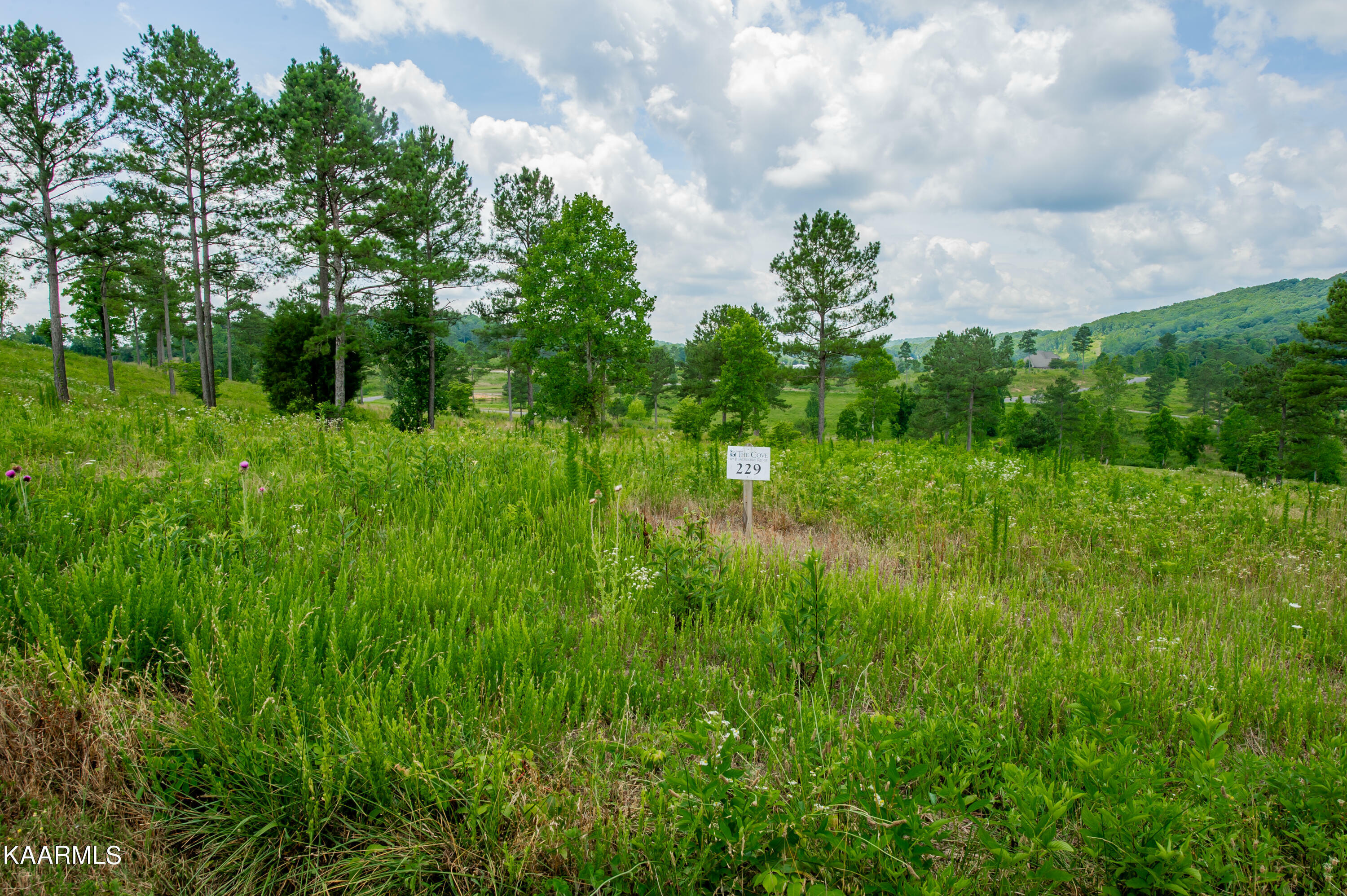 Property Photo:  917 Eagle Nest Drive  TN 37774 