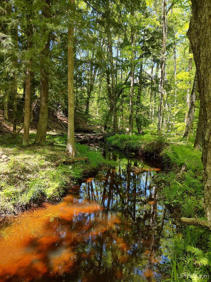 Tbd Woodspur Road  Ontonagon MI 49953 photo
