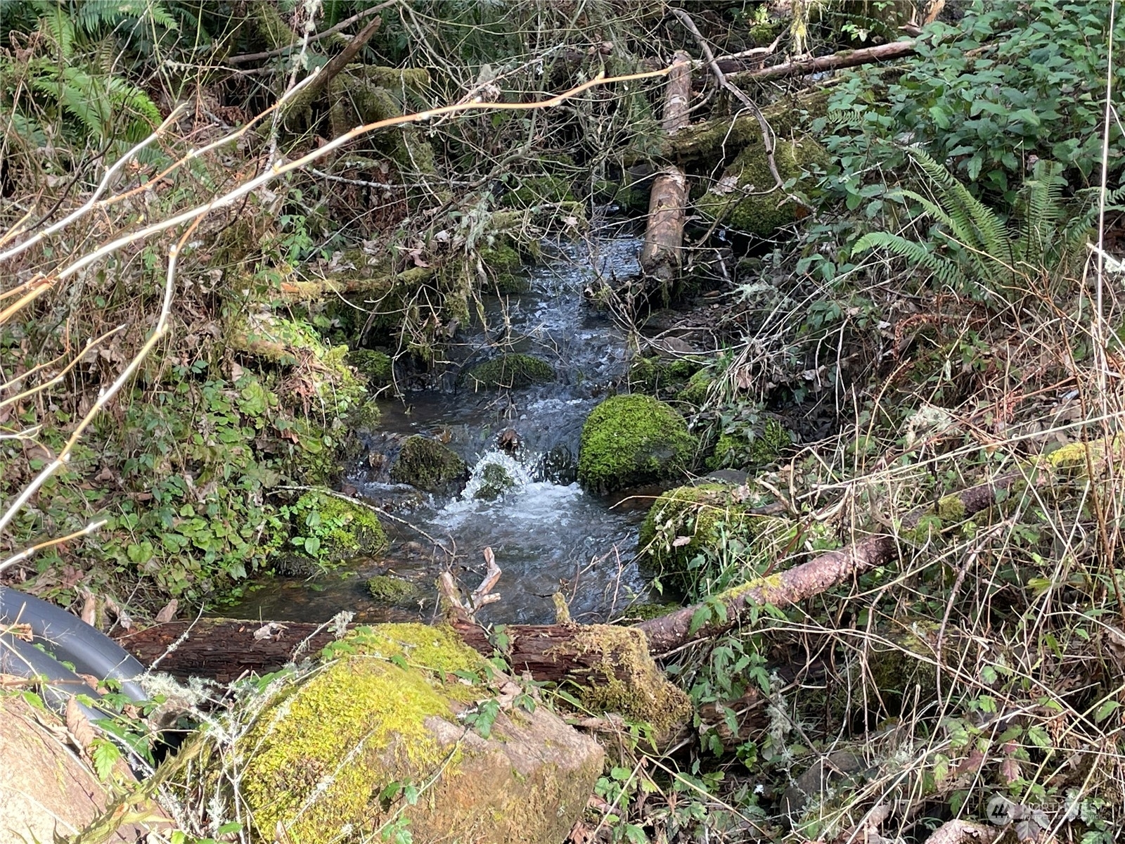 Property Photo: 0 Wiley Road WA 98645