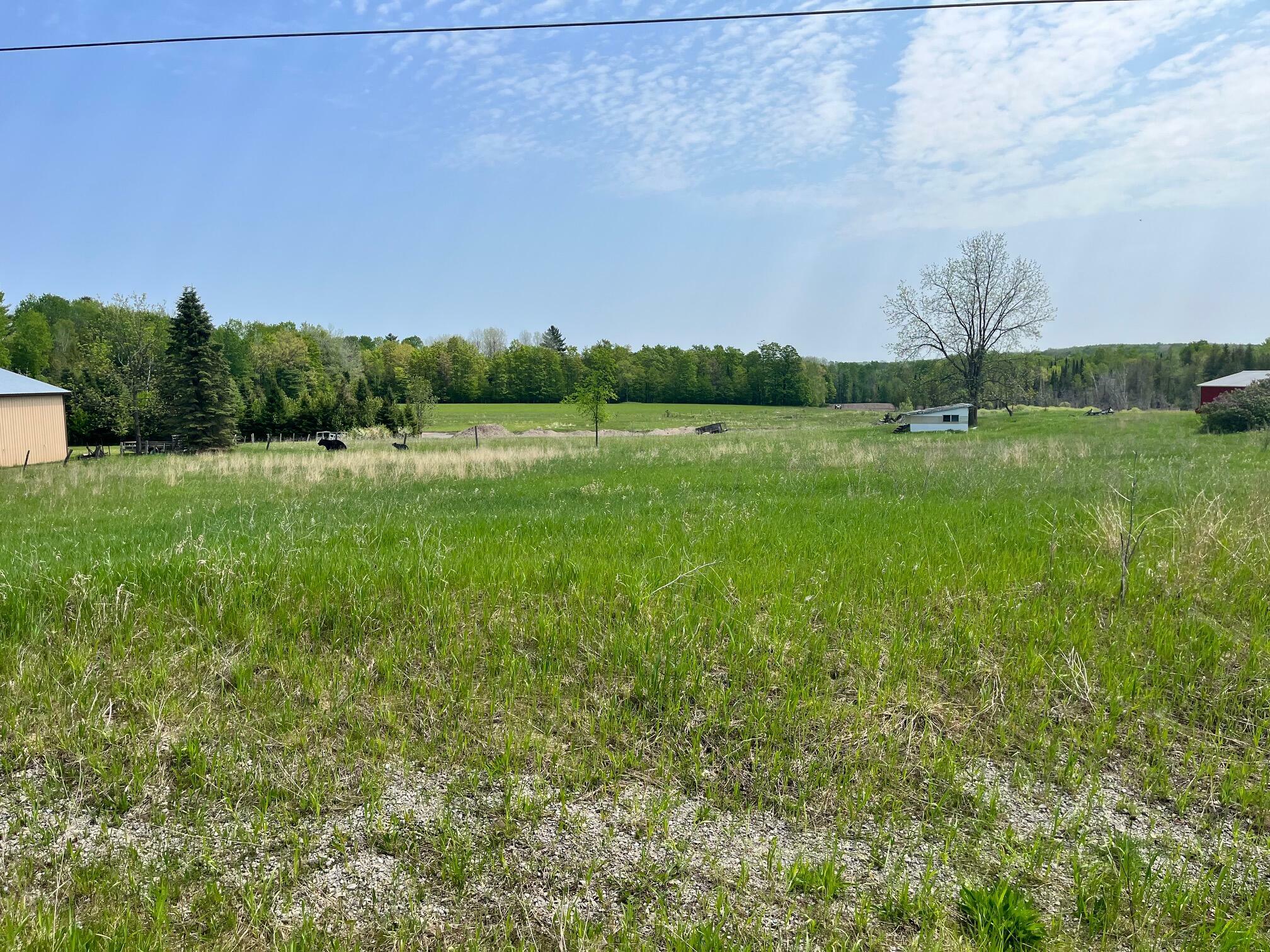 Property Photo:  Afton Road 1 Acre  MI 49705 