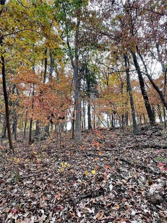 Property Photo: 3539 Red Oak MO 63052