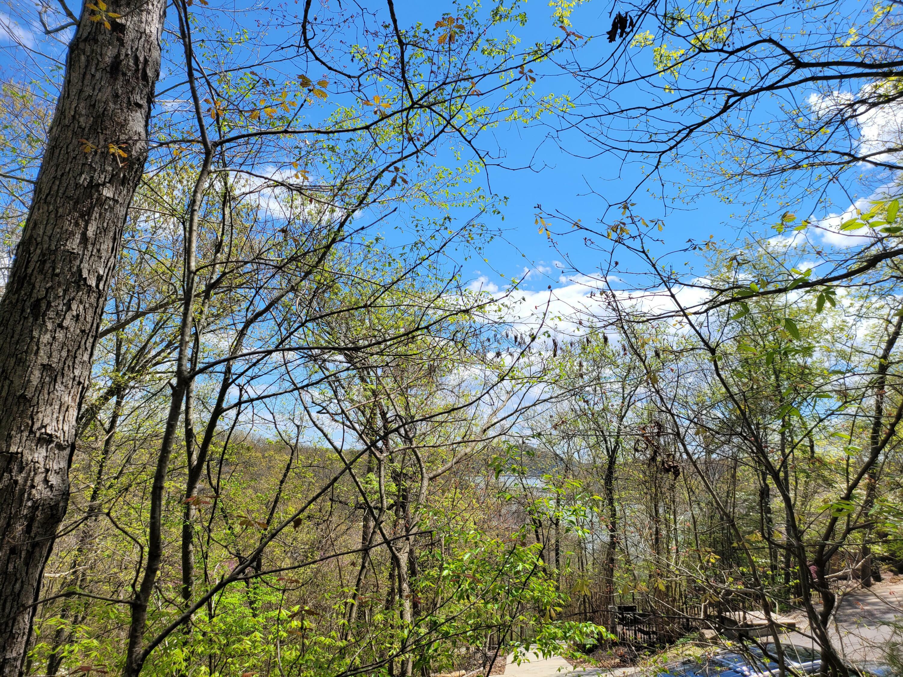 Property Photo:  Lot 18 The Bluffs  MO 65747 