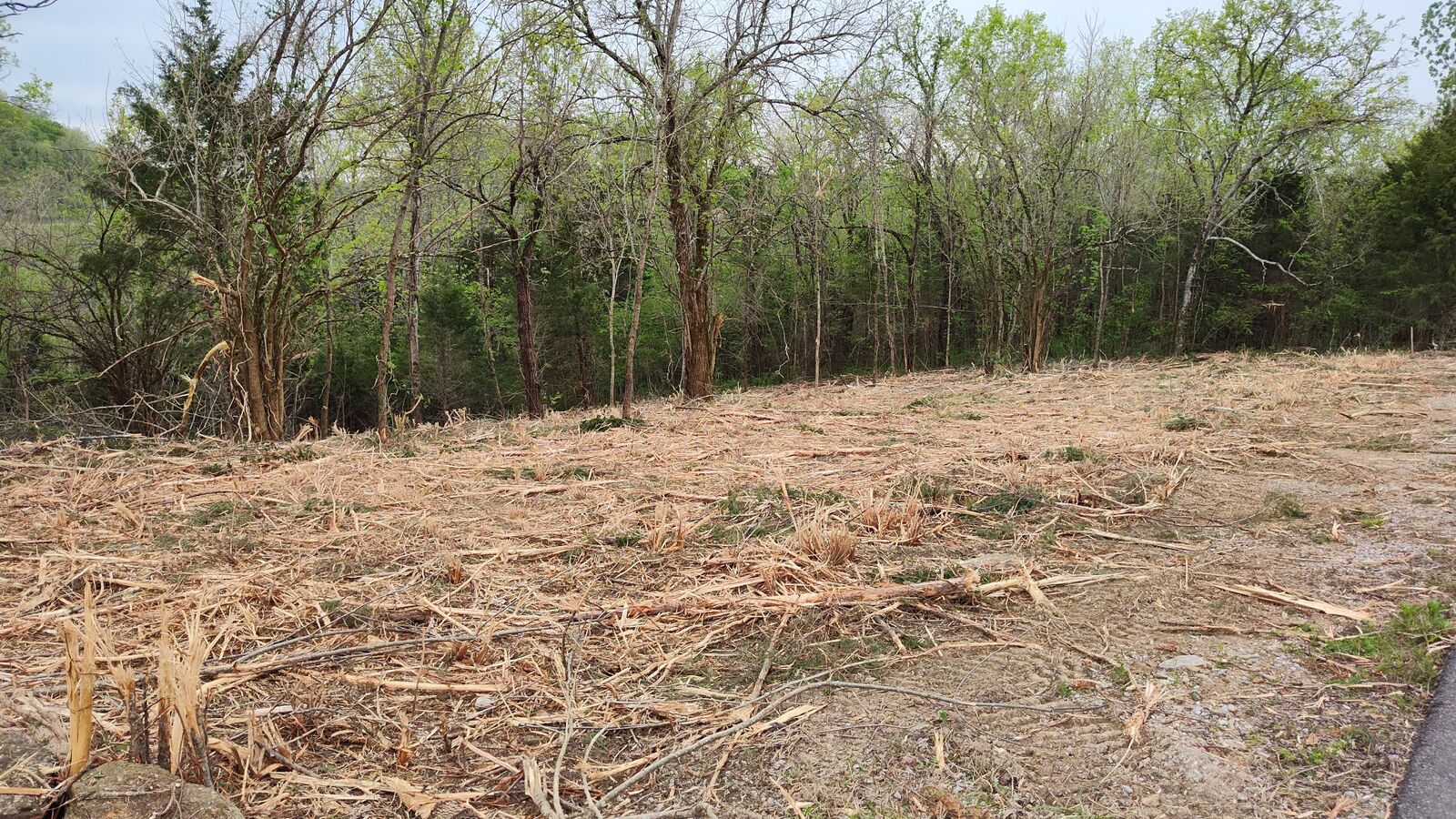 Property Photo:  56 Harbor Court  TN 38582 