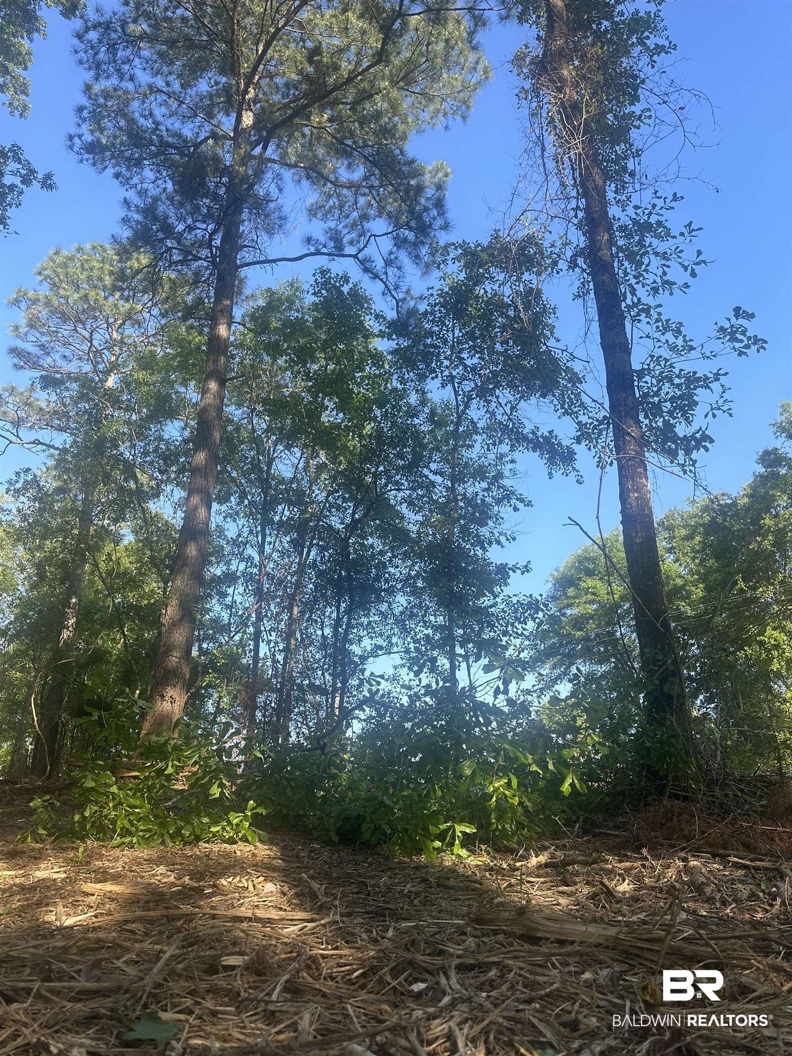 Property Photo:  15824 Pine Grove Rd Extension  AL 36507 