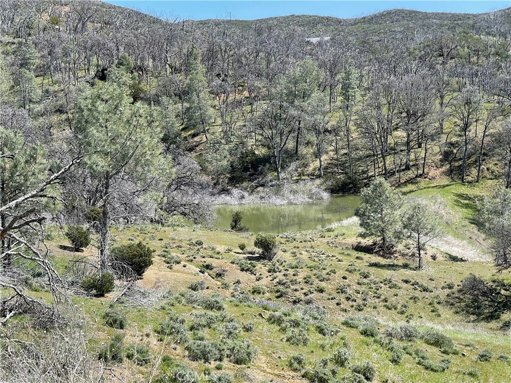 Property Photo:  9650 Rocky Creek Road  CA 95457 