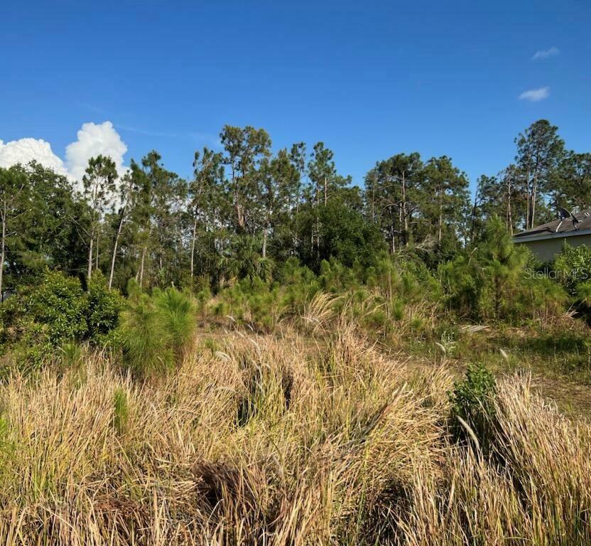 Property Photo:  6622 Lapidus Road  FL 34291 