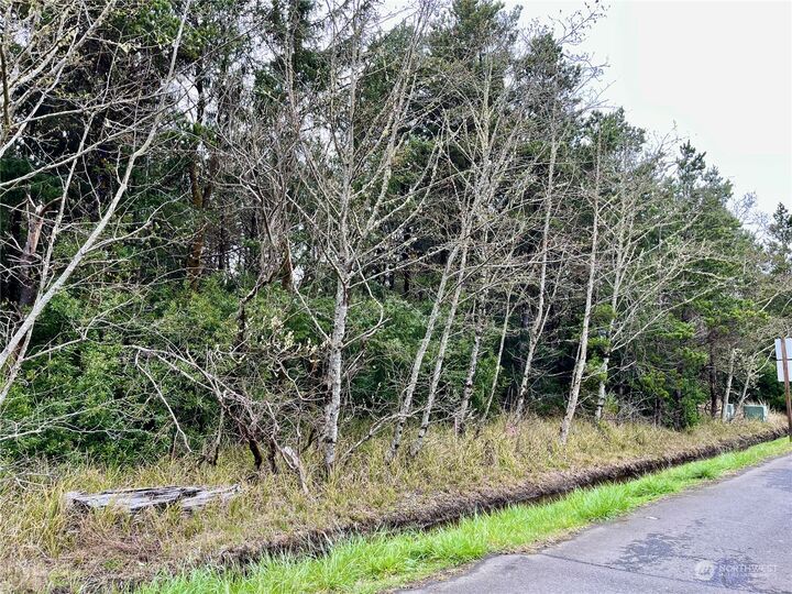 Property Photo:  0 00 Surf Street  WA 98595 