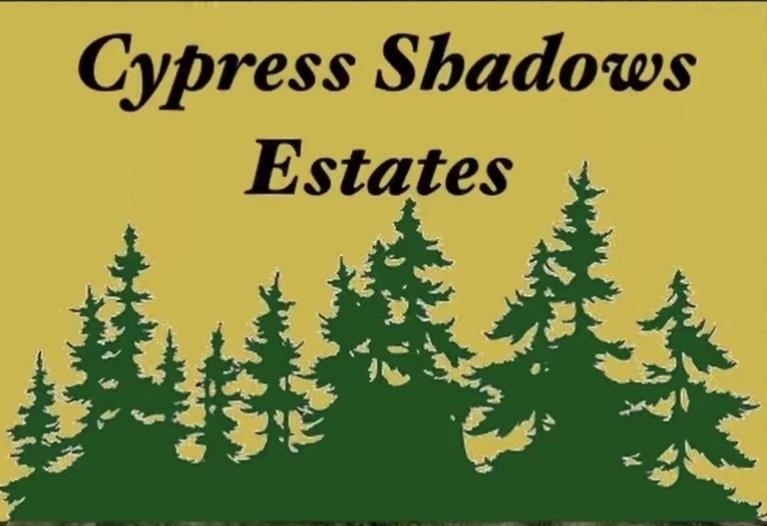 2955 Cypress Shadows Lane  Orange TX 77632 photo