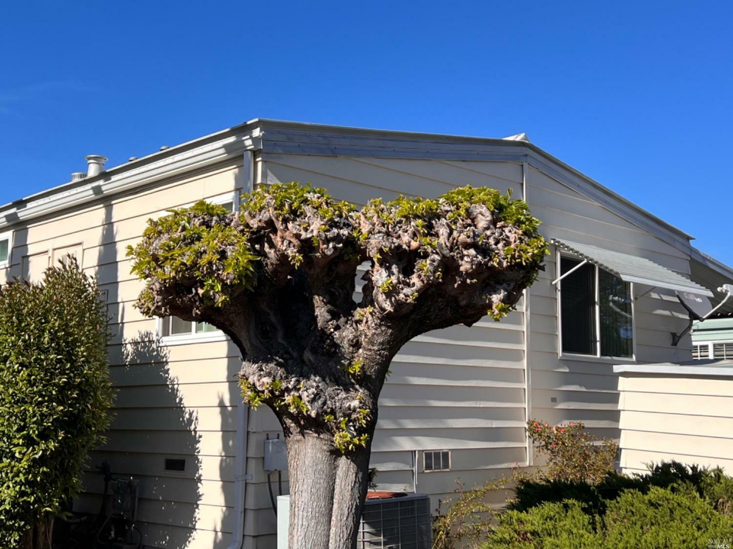 Property Photo: 386 Circulo Lacruz CA 94928