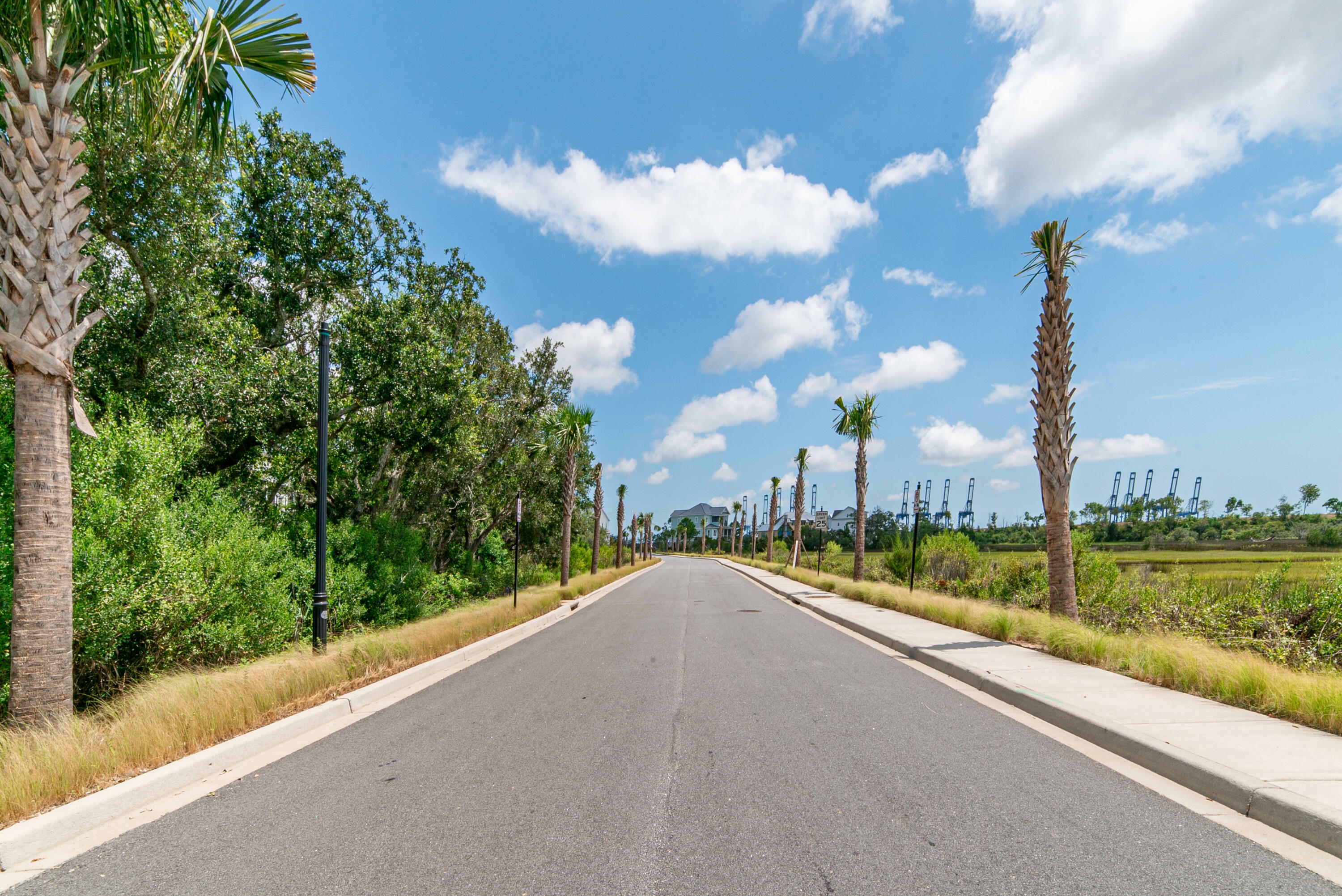 Property Photo:  1221 Water View Lane   29492 