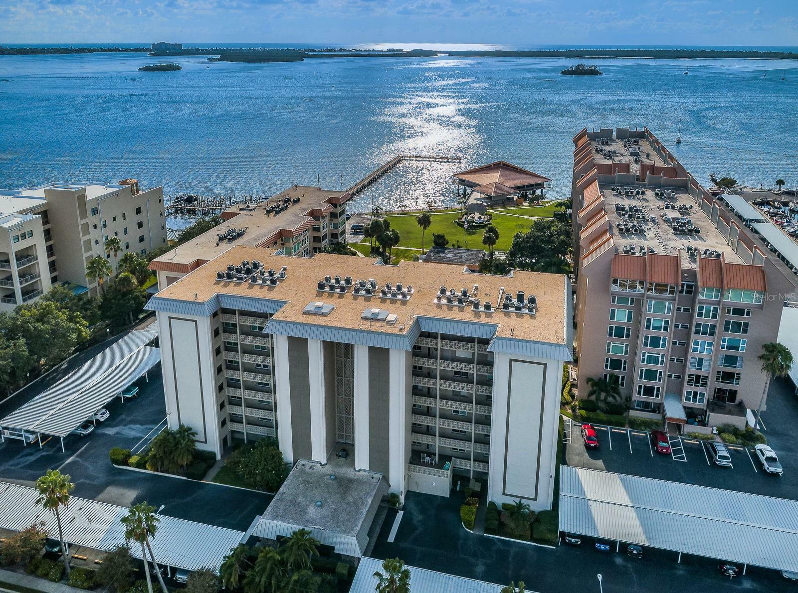 Property Photo: 622 Edgewater Drive 822 FL 34698