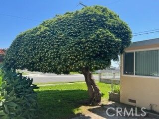 Property Photo: 1303 N Catalpa Avenue CA 92801
