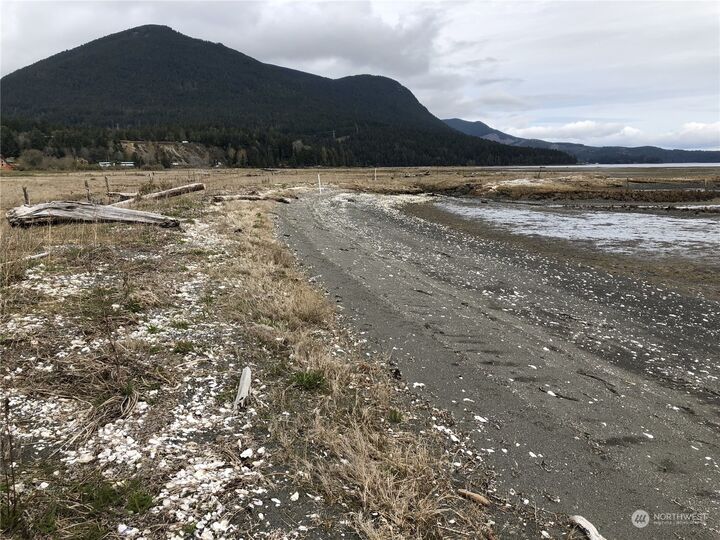 145  Syloplash Lane  Brinnon WA 98320 photo