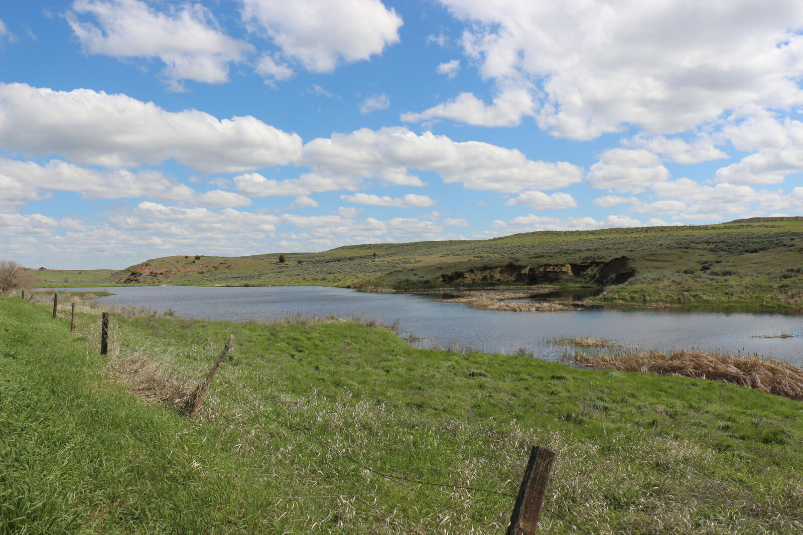 Property Photo: Tbd Beatty Gulch Road WY 82801