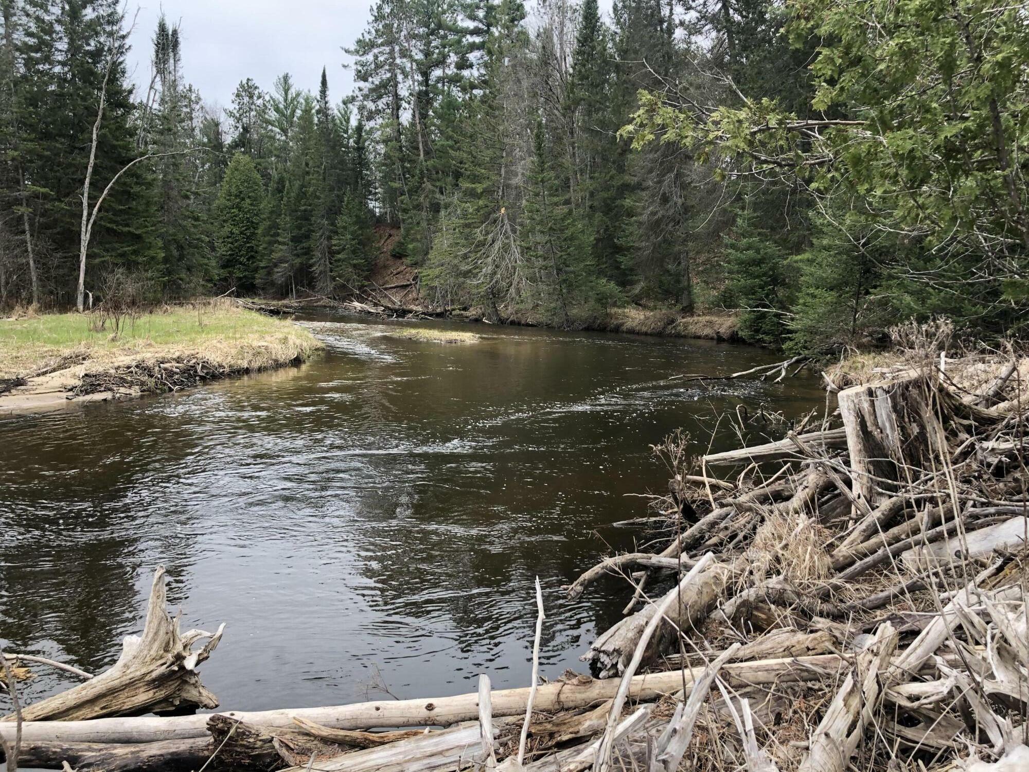 Property Photo: 5001 Big Sky Trail Lot 39 MI 49705