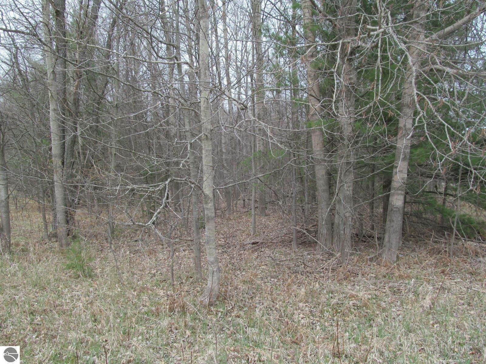 Property Photo:  Lot 7 W Blue Road River Woods Estates #1  MI 49651 