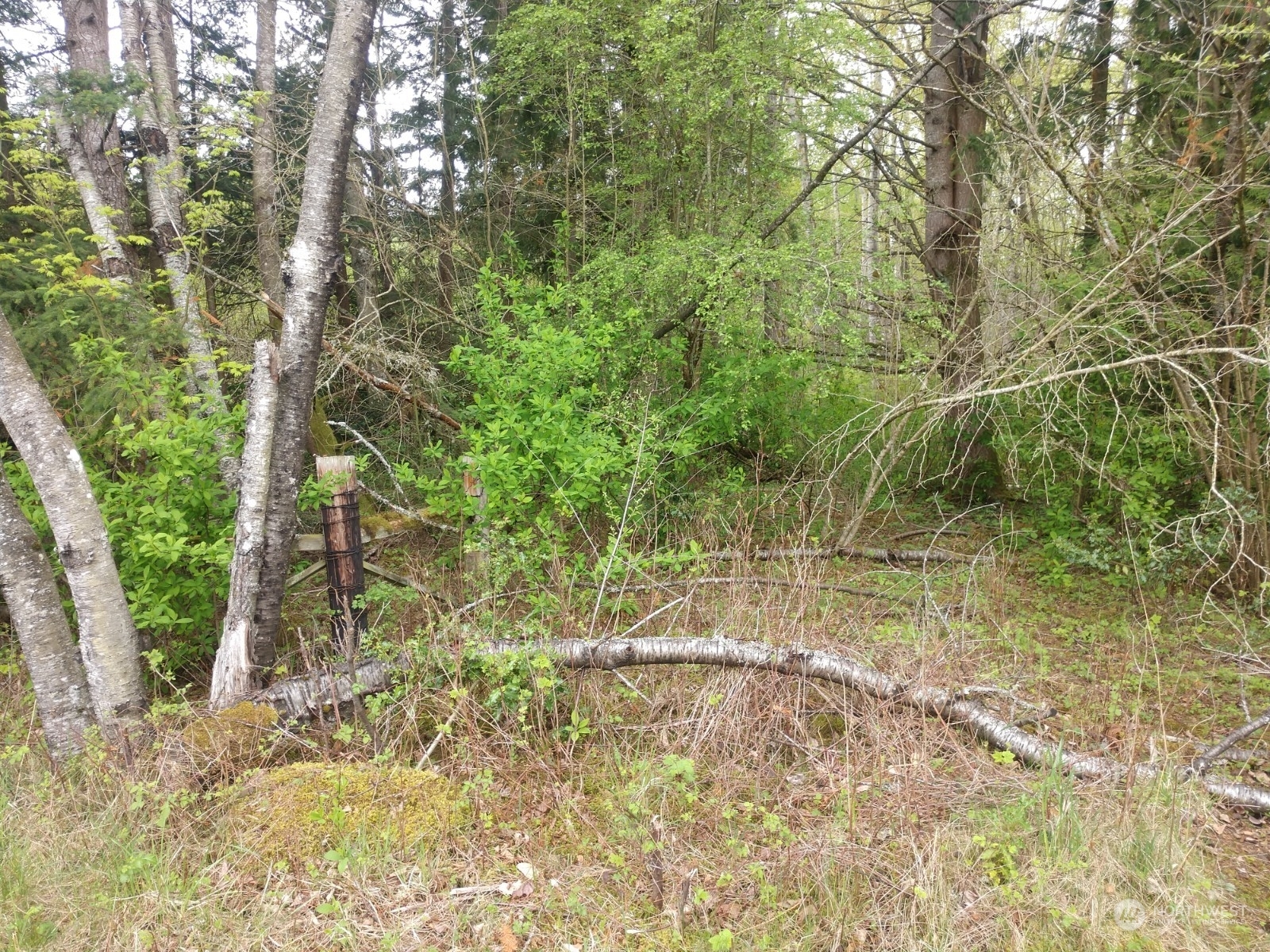 Property Photo: 4259 Aldrich Road WA 98226