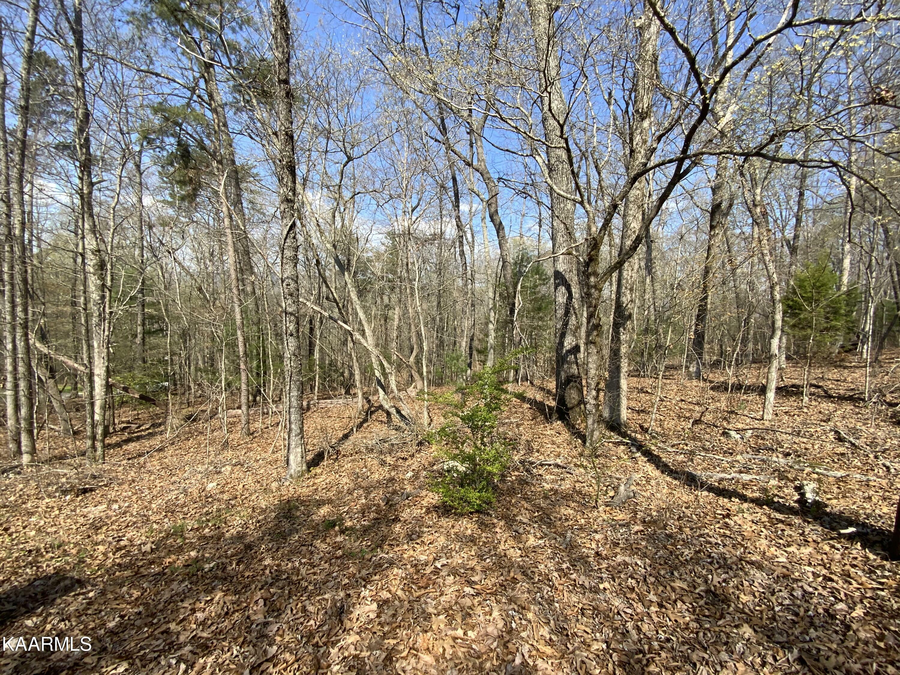 Property Photo:  Rendezvous Rd Lot 21&Amp22  TN 37854 
