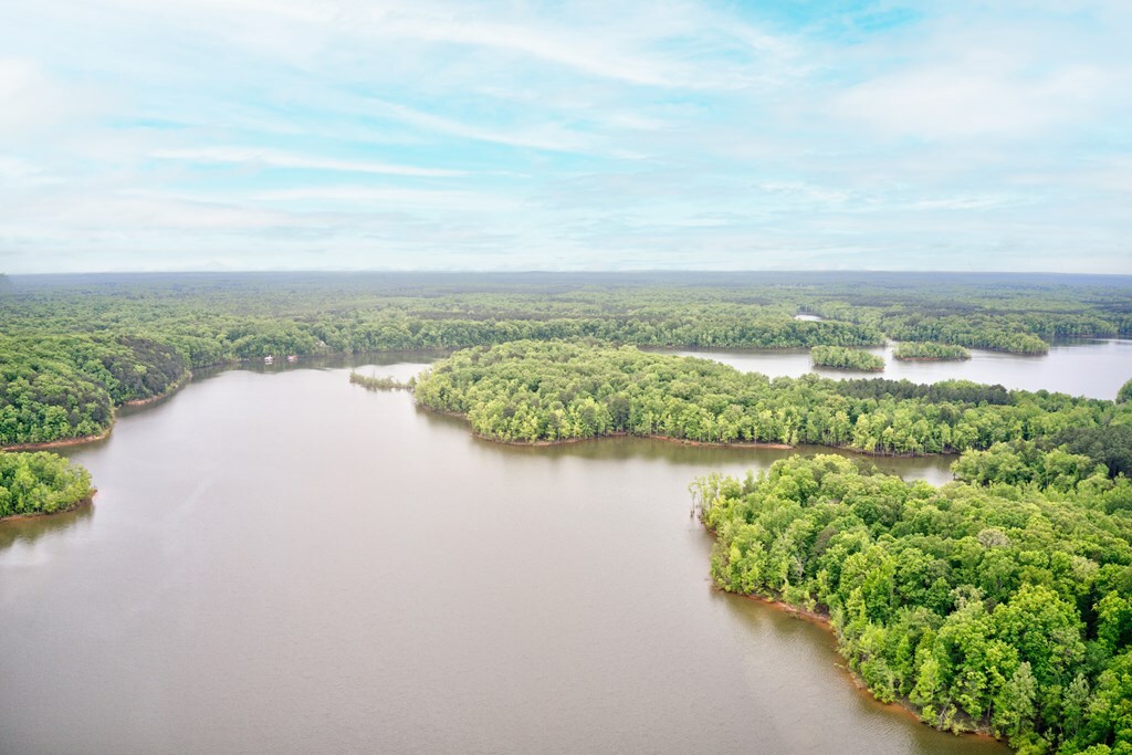 Property Photo:  Lewis Mill Road  VA 23927 