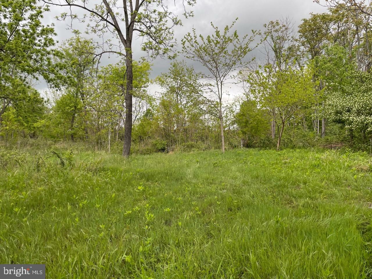 Lot 7 Jamestown Road  Summit Point WV 25446 photo