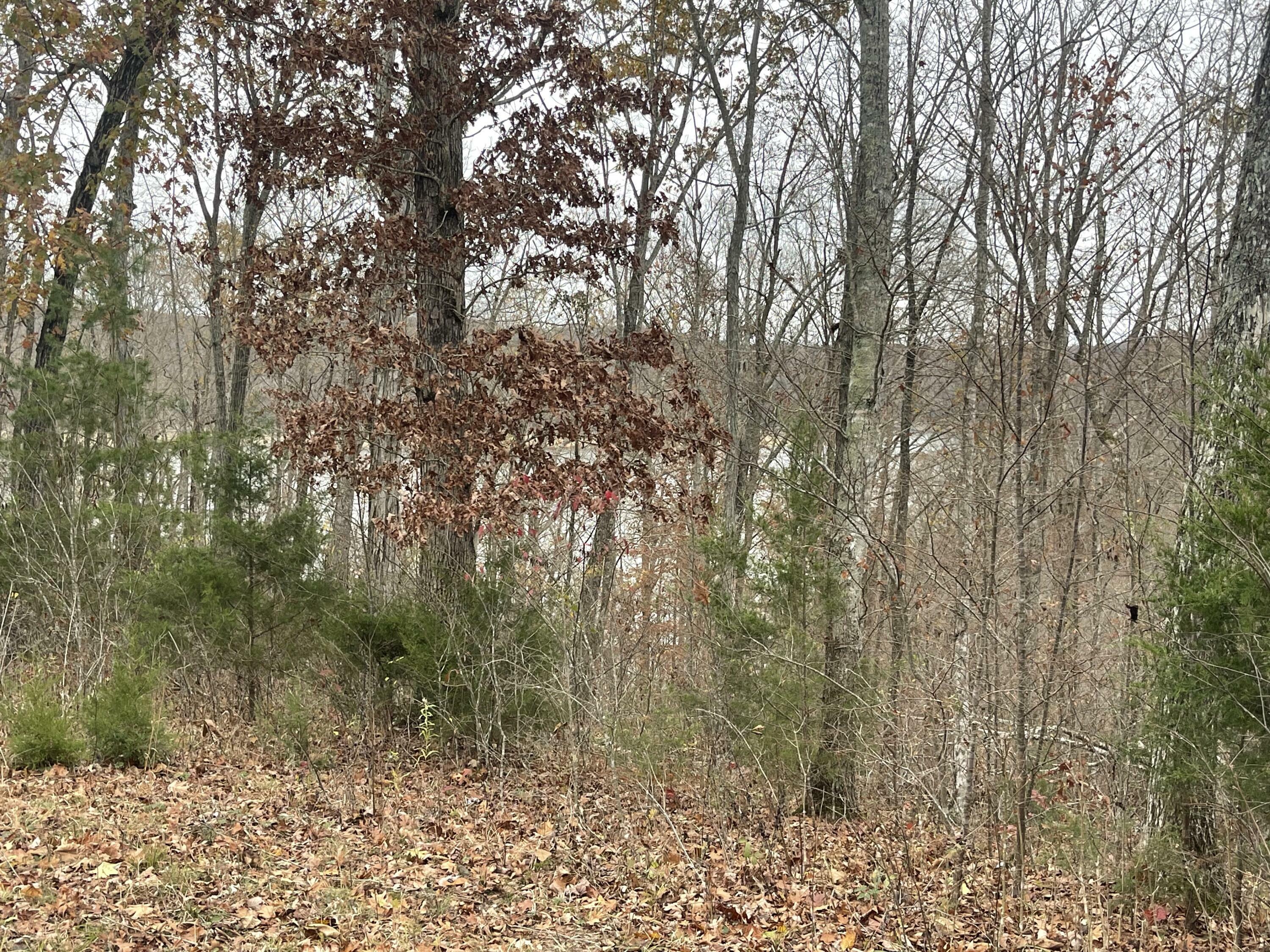 Property Photo:  Lot 28 Cumberland Shores  KY 42633 