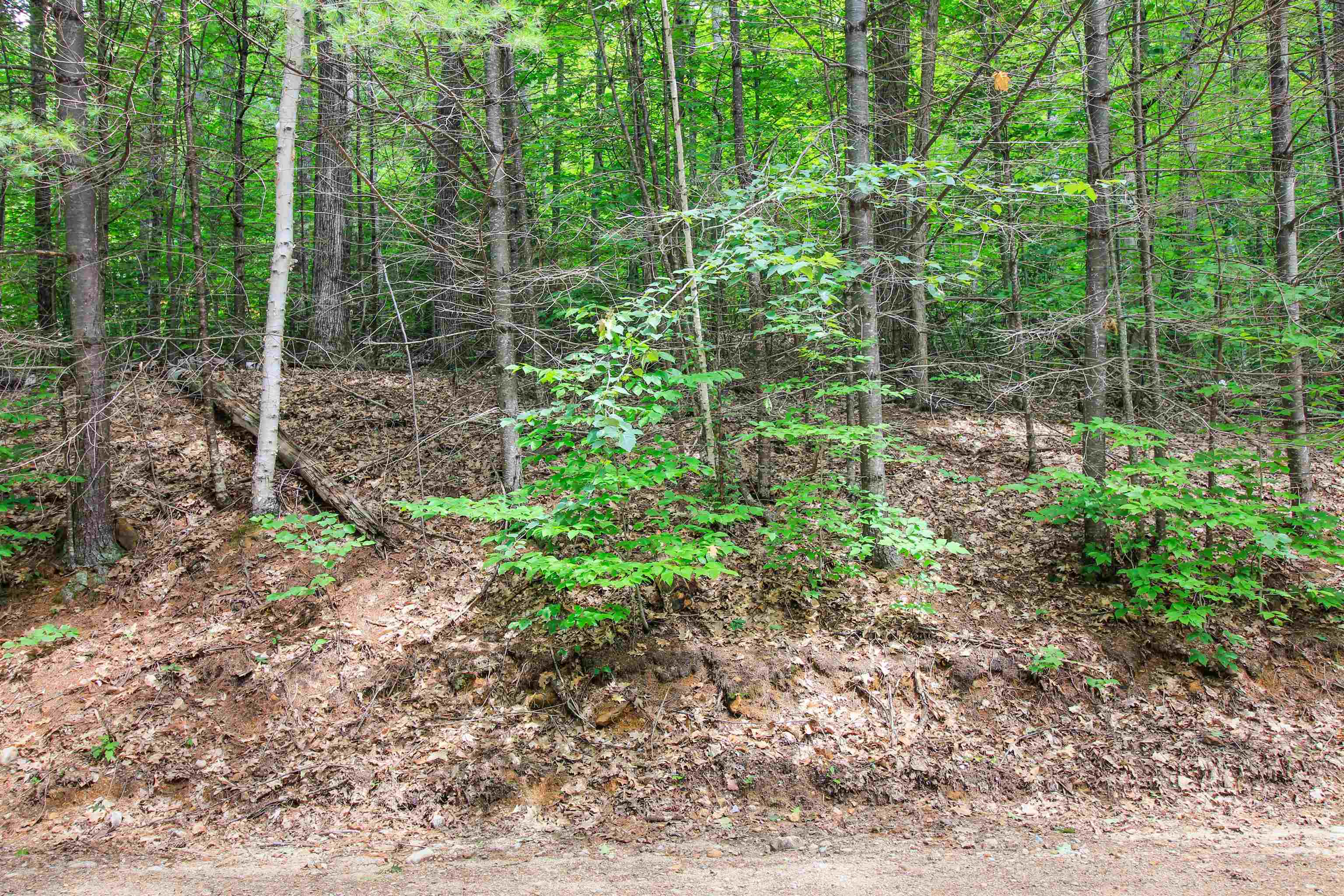 Property Photo: Lot H-15 Tobey Road NH 03223