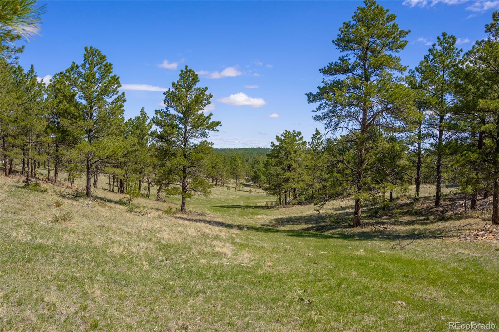 Parcel 2 Onyx Trail  Deer Trail CO 80105 photo