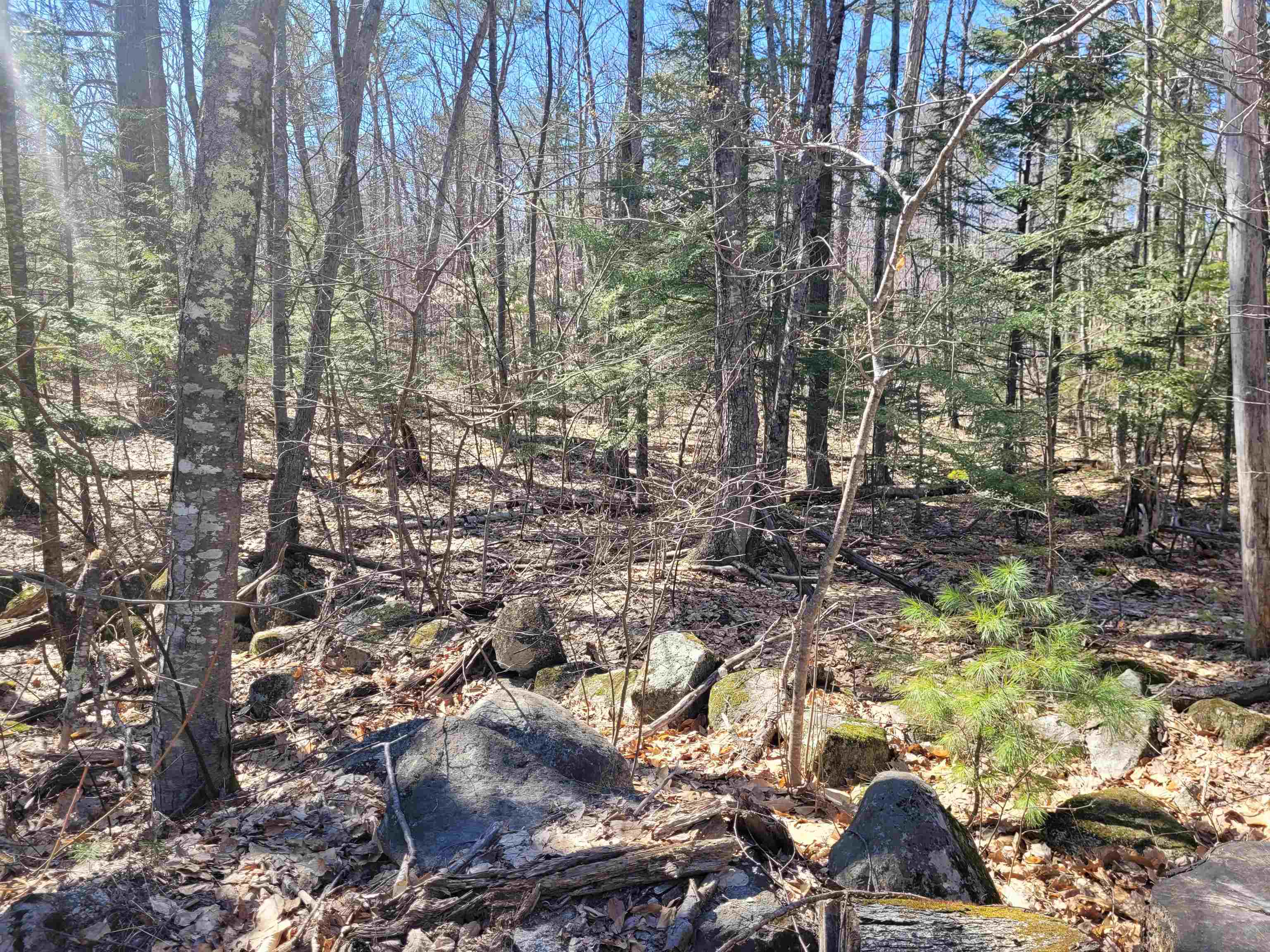 Property Photo:  Lot 8 Merrymeeting Road  NH 03855 