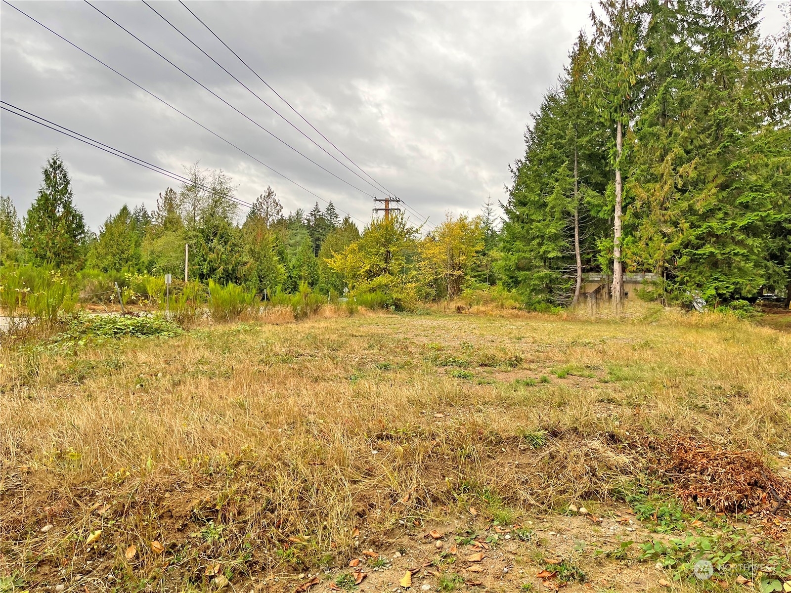 Property Photo:  0 SW Lake Flora Road  WA 98367 