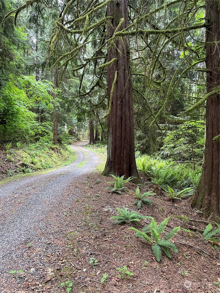 Property Photo: 251 Lot 002 Woods Creek Road WA 98290