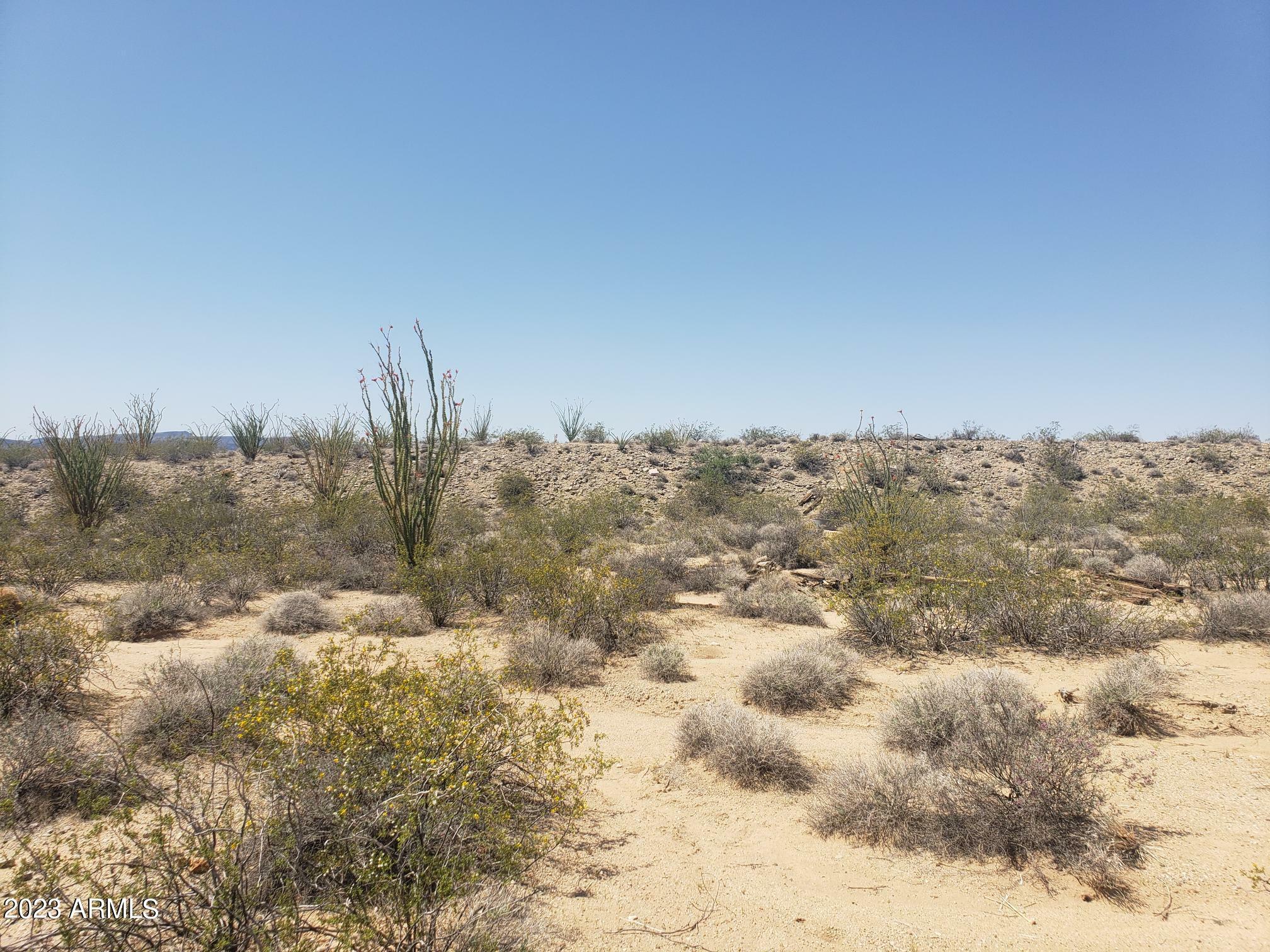 Property Photo:  000 S Cortaro Road  AZ 86438 