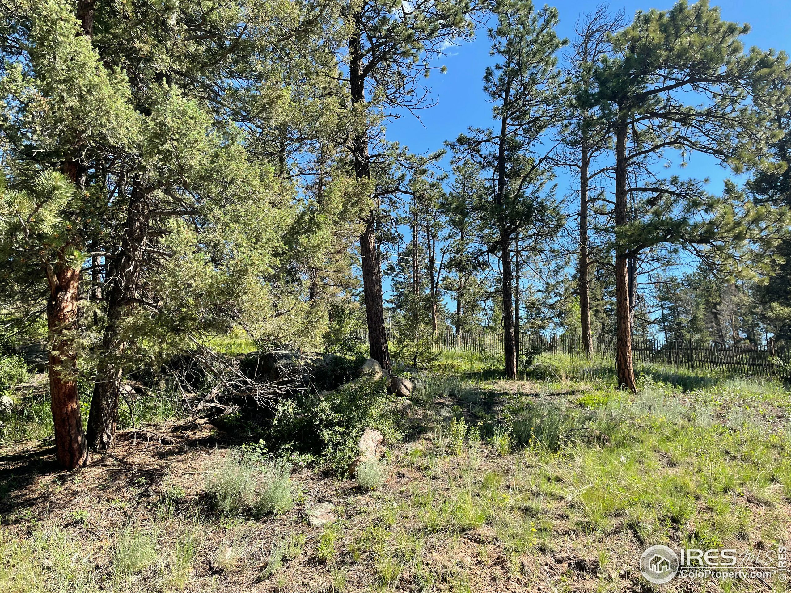 Property Photo: 27271 Log Trl CO 80433