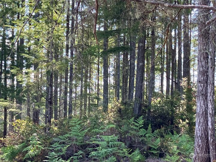 Property Photo: 151 E Eastwood Lane WA 98592